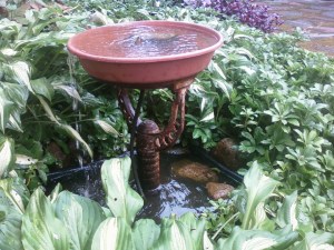 waterfeature