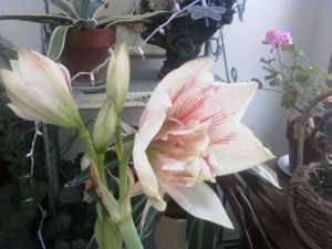 shewaitedformyreturn